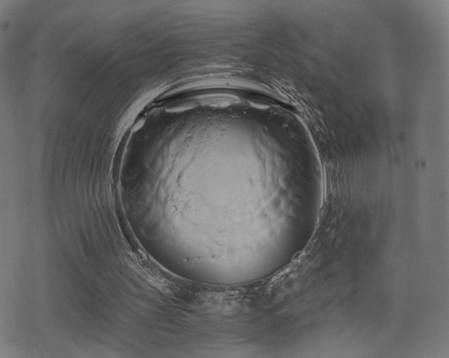 X0000071380147200606261422