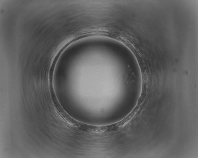 X0000071380148200606261422