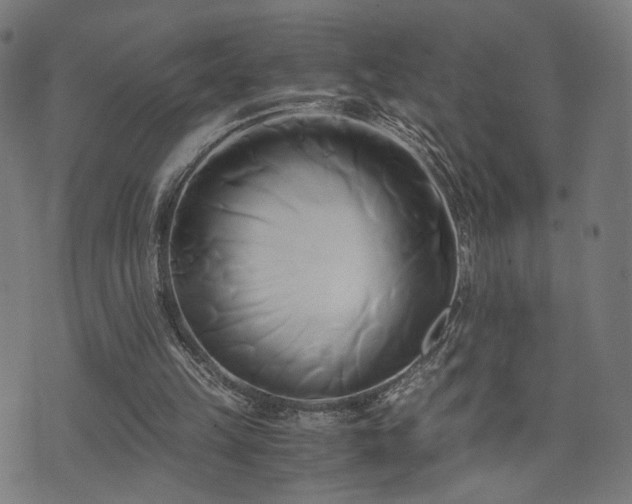 X0000071380149200606261422