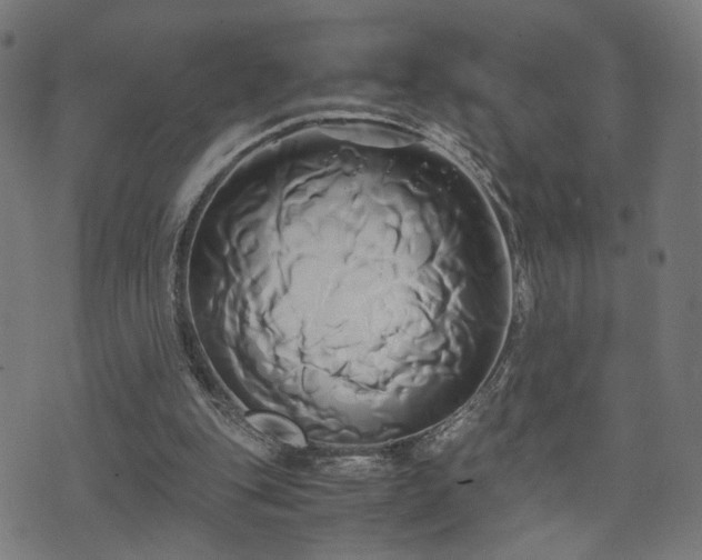 X0000071380151200606261422