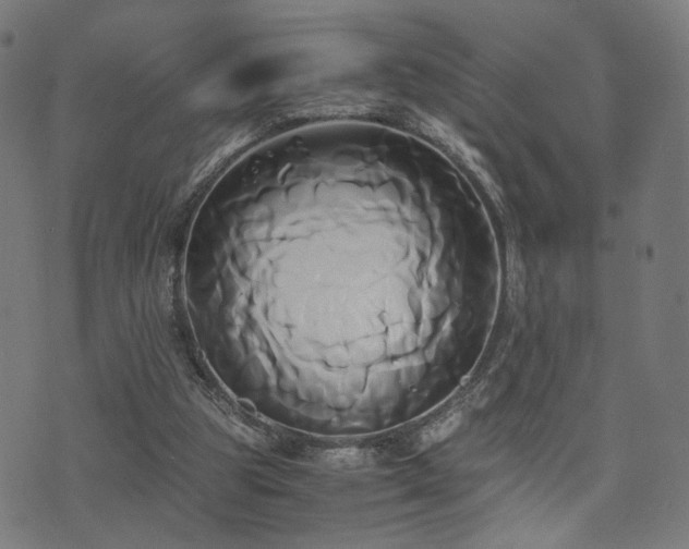 X0000071380153200606261422