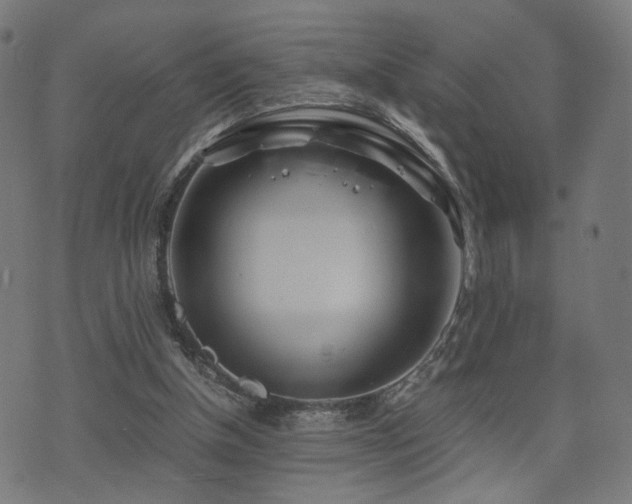 X0000071380154200606261422