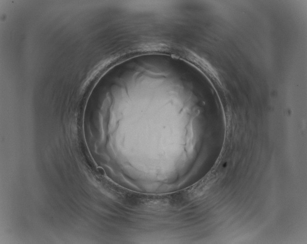 X0000071380155200606261422