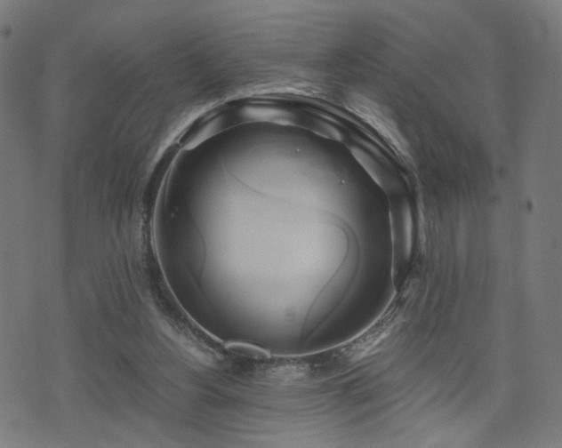 X0000071380156200606261422