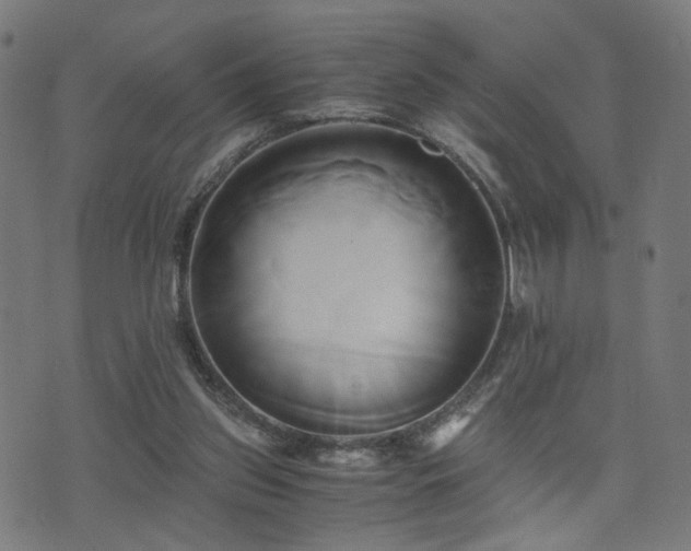 X0000071380157200606261422