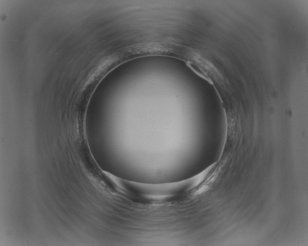 X0000071380158200606261422