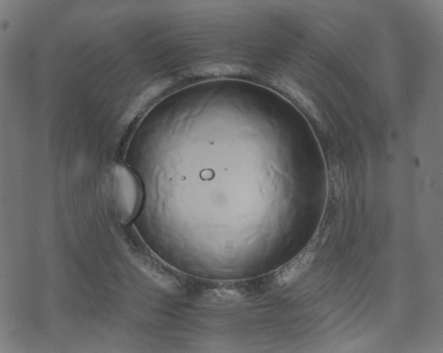 X0000071380159200606261422