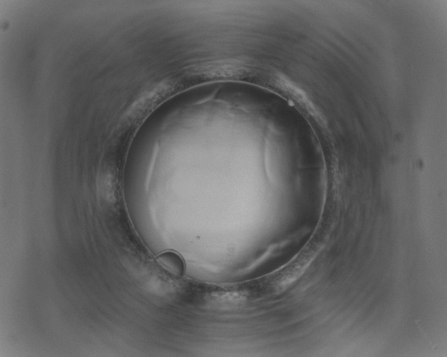 X0000071380161200606261422