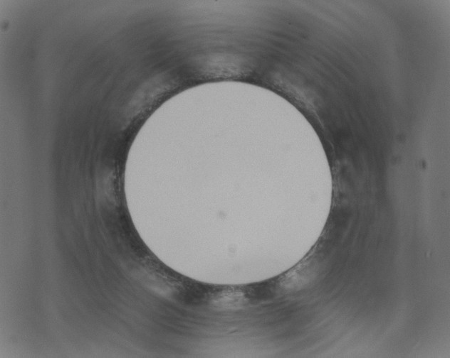 X0000071380162200606261422