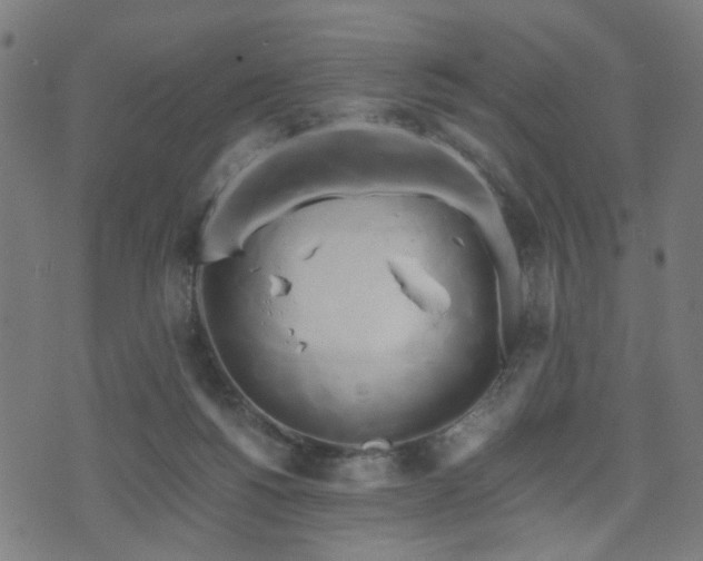 X0000071380168200606261422