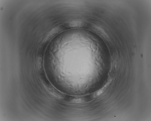 X0000071380171200606261422