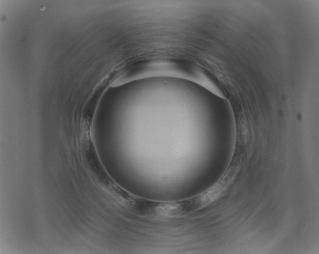 X0000071380172200606261422