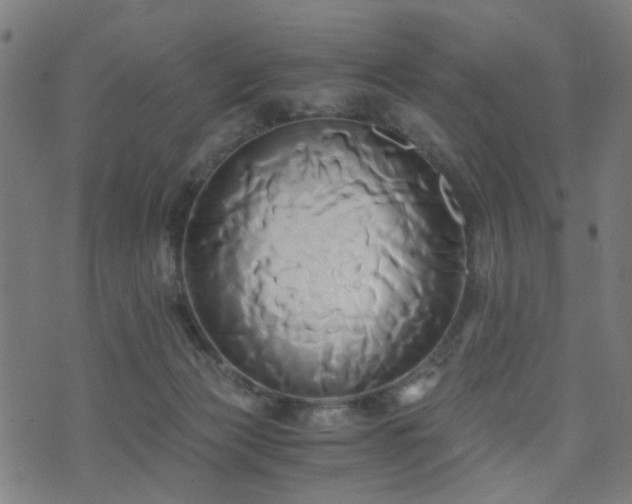 X0000071380173200606261422