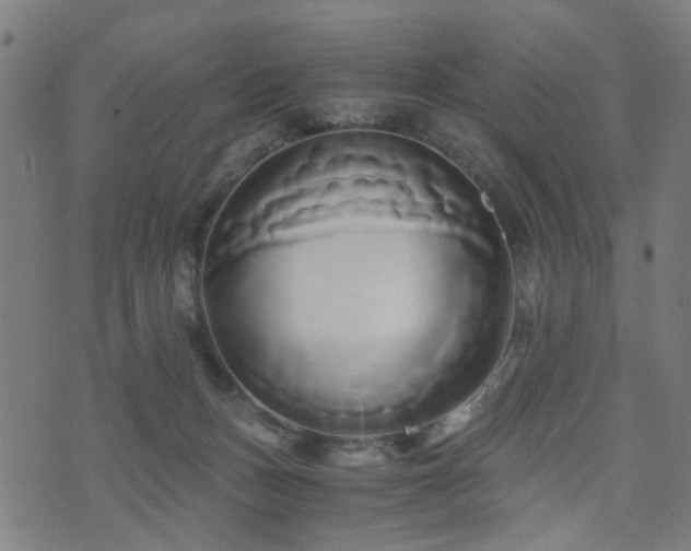 X0000071380175200606261422