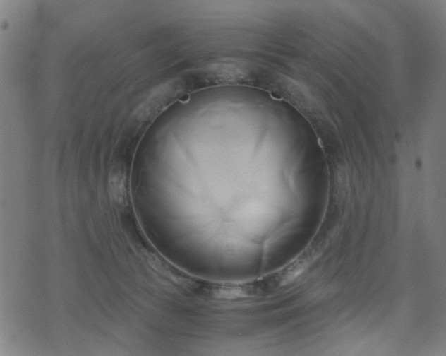 X0000071380177200606261422