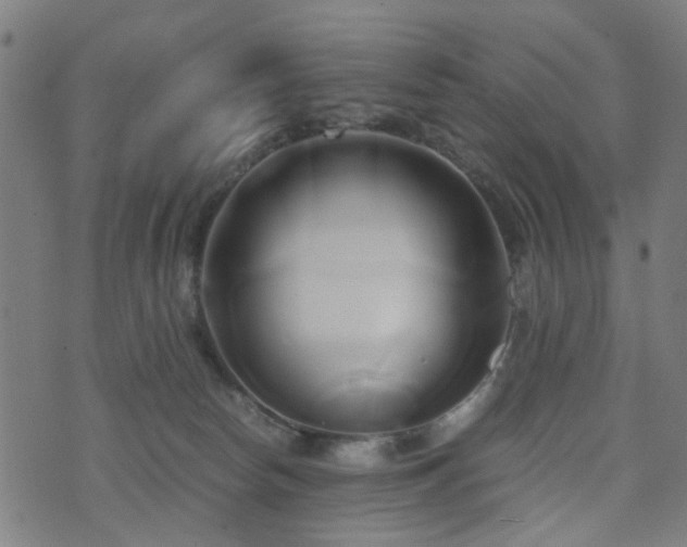 X0000071380178200606261422