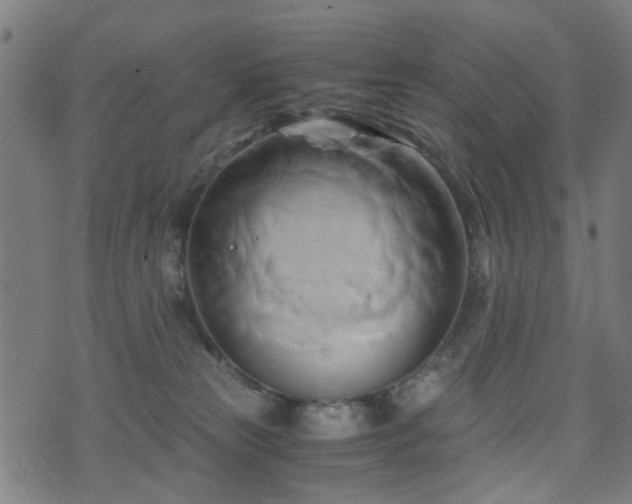 X0000071380181200606261422