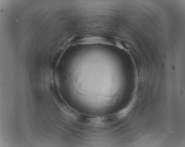 X0000071380182200606261422