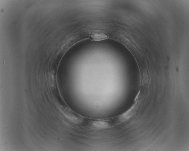 X0000071380183200606261422