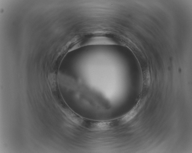 X0000071380184200606261422