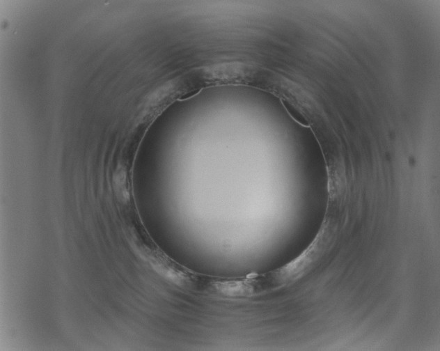 X0000071380187200606261422