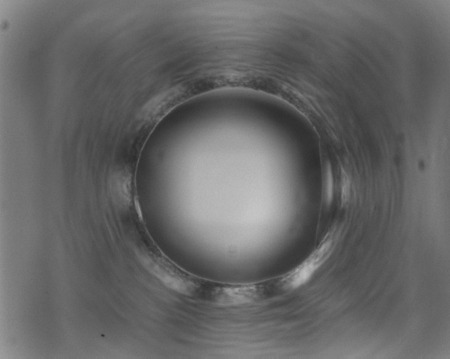 X0000071380188200606261422