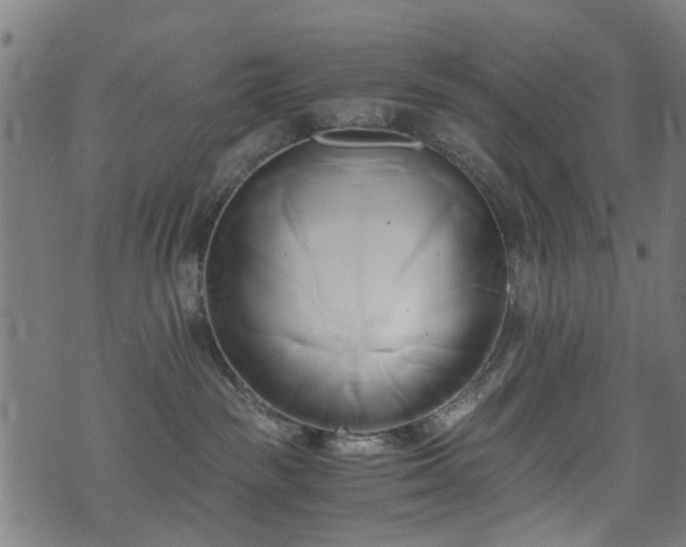 X0000071380189200606261423