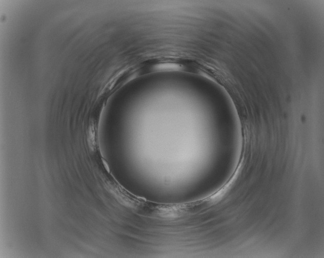 X0000071380190200606261423