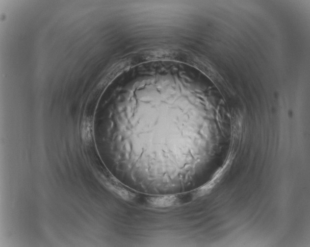 X0000071380191200606261423