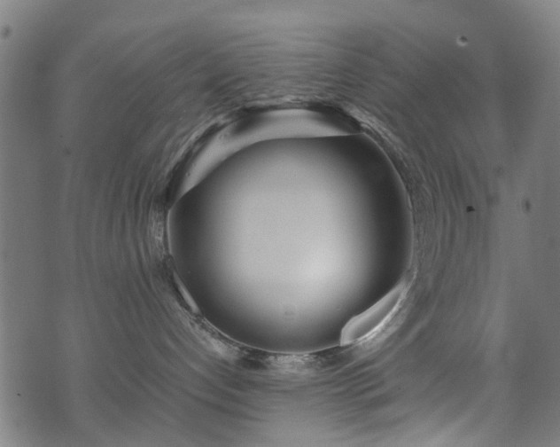 X0000071380192200606261423