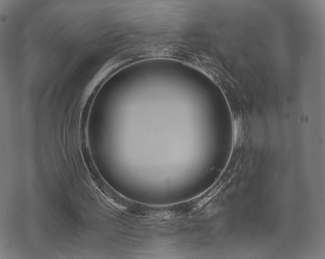 X0000071380195200606261422