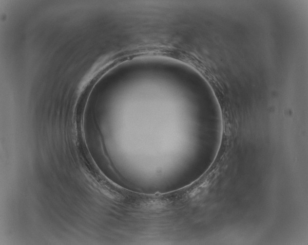 X0000071380198200606261422