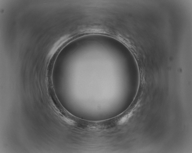 X0000071380199200606261422