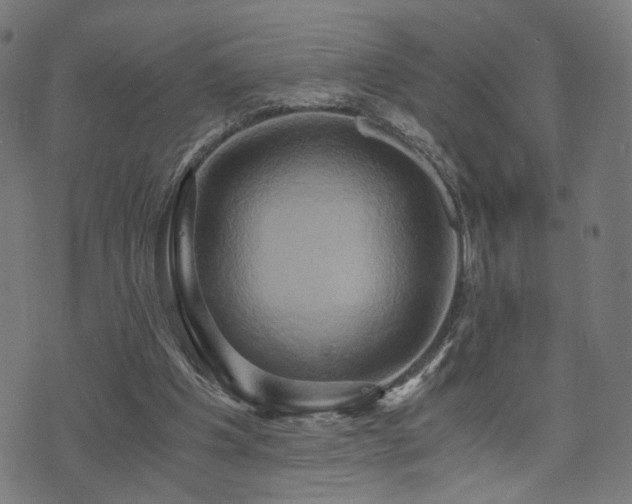 X0000071380201200606261422