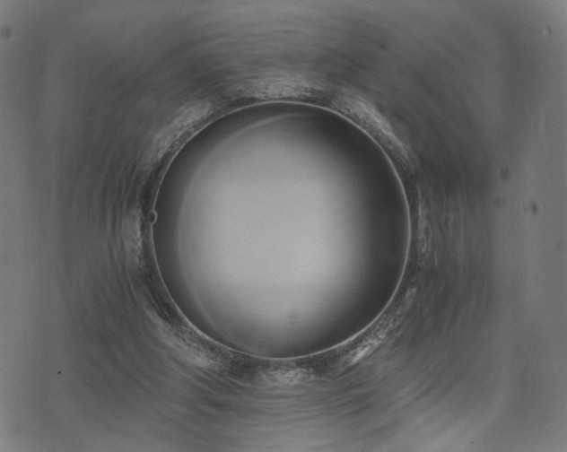 X0000071380202200606261422