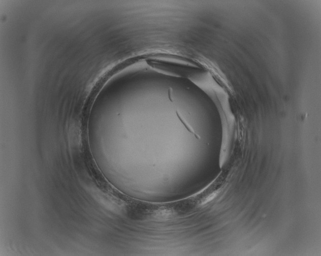 X0000071380204200606261422