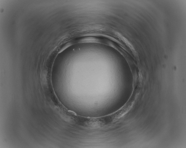 X0000071380209200606261422