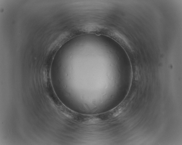 X0000071380210200606261421