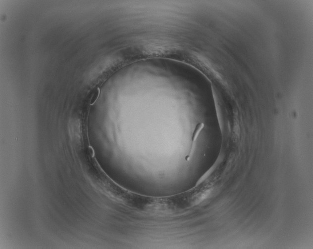 X0000071380211200606261421