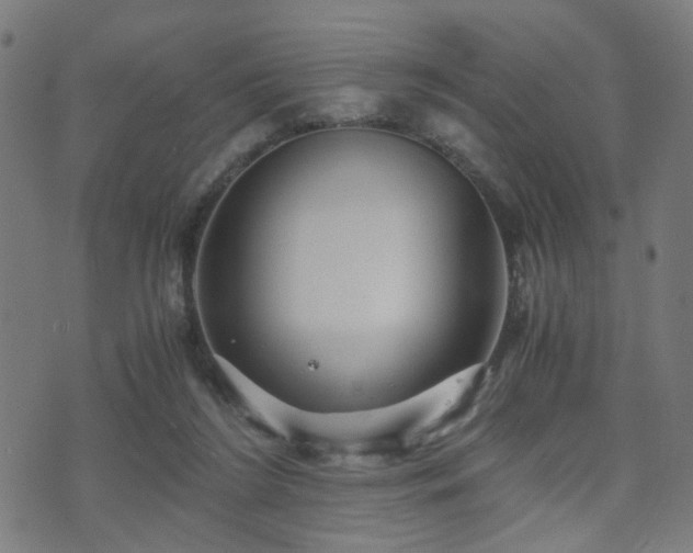 X0000071380212200606261421