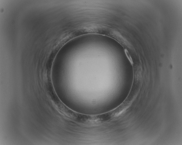 X0000071380213200606261421