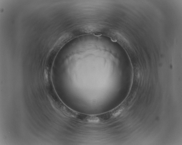 X0000071380214200606261421