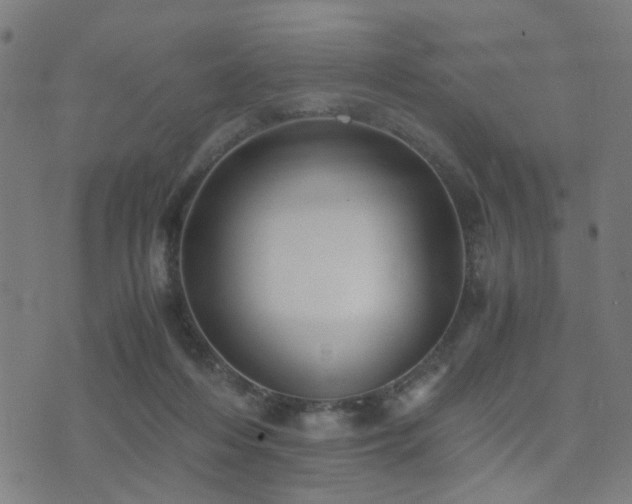 X0000071380216200606261421