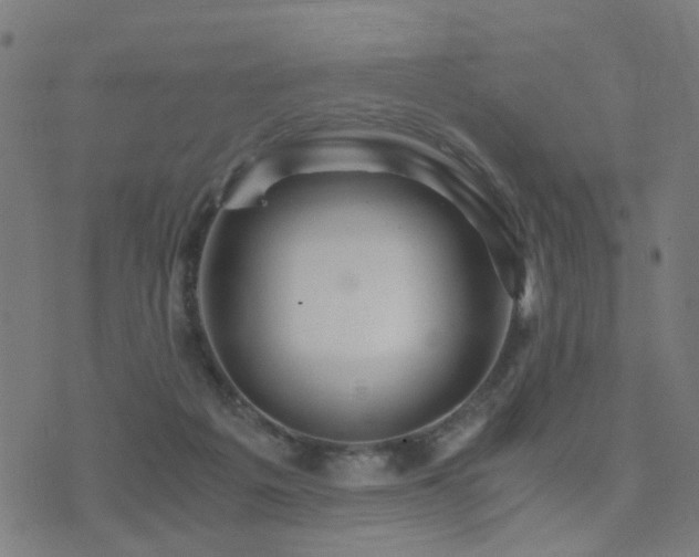 X0000071380217200606261421