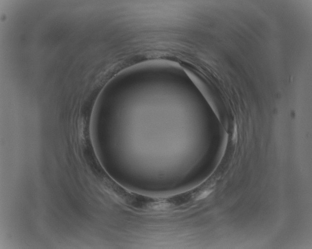 X0000071380219200606261421