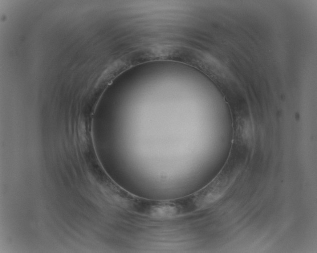 X0000071380220200606261421