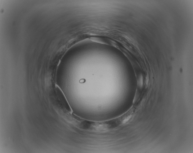 X0000071380221200606261421