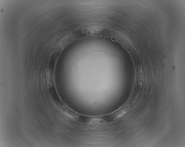 X0000071380222200606261421