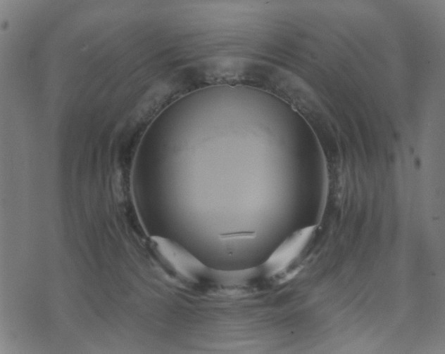 X0000071380224200606261421