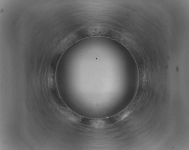 X0000071380226200606261421